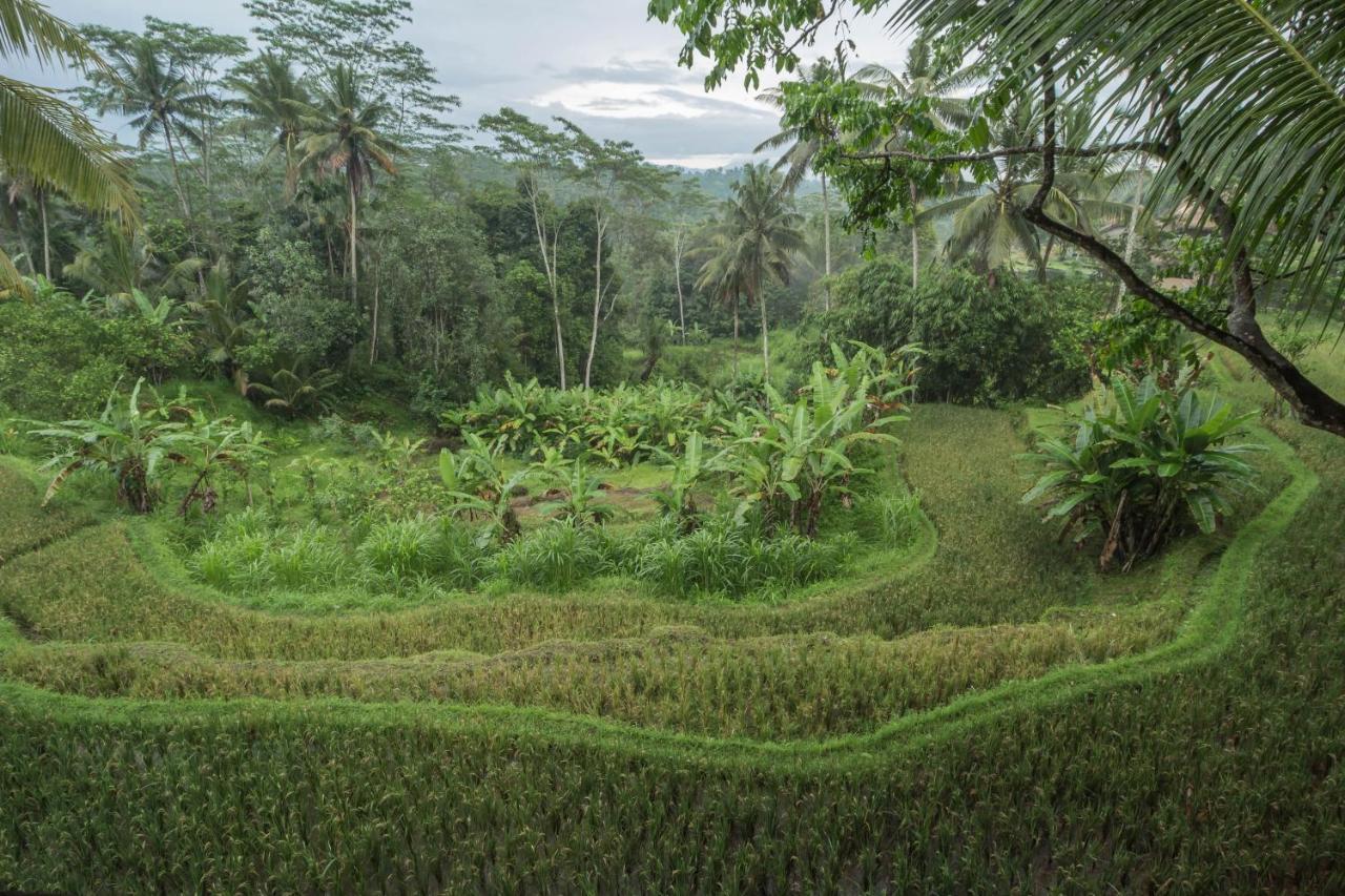 Masakali Retreat Hotel Ubud Buitenkant foto